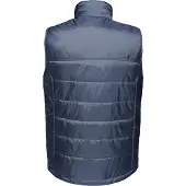 Regatta Heren Fase II Geïsoleerde Bodywarmer (Marine)