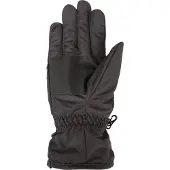 Mountain Warehouse Dames/Dames Skihandschoenen (Zwart)