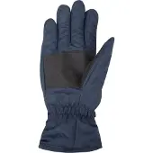 Mountain Warehouse Dames/Dames Skihandschoenen (Marine)
