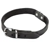 Beeztees Hondenhalsband Zwart 42 X 1,6 Cm