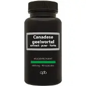 APB Holland Canadese geelwortel 480mg puur (90 capsules)