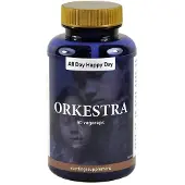 All Day Happy Day Orkestra