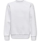 Only & Sons Junior Sweatshirt 'OSJCeres' lichtgrijs