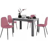 Notio Living Lynn & Luna|Set van Eettafel 120x80cm met 4 Stoelen Rose