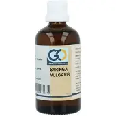 Go Syringa vulgaris bio