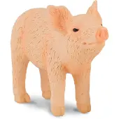 Collecta Figurine - Biggetje Snuffelend - (S)