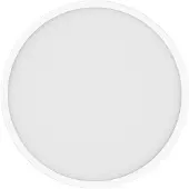 Xiaomi BHR9933GL Mi Smart LED Ceiling Light D40 Plafondopbouwarmatuur LED LED 45 W Wit