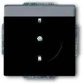 ABB 2CKA002011A3884 Apparaatinzetstuk IP20 Zwart, Diepzwart (RAL 9005)