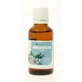 Balance pharma ECT019 Utero Endocrinotox