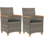 vidaXL Tuinstoelen 2 st met kussens poly rattan en massief hout grijs