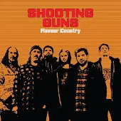 Coast2Coast Shooting Guns - Flavour Country (LP)