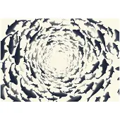 Kärkkäinen Fotobehang – Behangpapier - Fotobehang - Fish swirl 300x210 -
