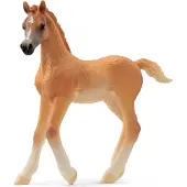 Schleich HORSE CLUB - Arabisch veulen - 13984