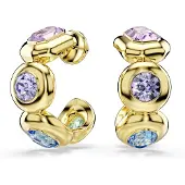 Swarovski - Oorbellen Voor Dames