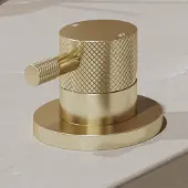 Saniclear Brass Curved hendel voor Bond wastafelkraan (SK111643)