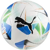 Puma Cumbre Conmebol Libertadores Ms Football Ball Wit 5