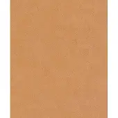 Rasch ORANJE VLIES BEHANG GEO EFFECT 831788