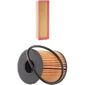 RIDEX 4055F1041 Filterset