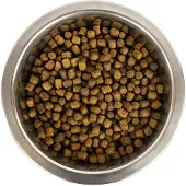 Yourdog koningspoedel pup 3 kg - Hondenvoer