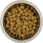 Yourdog 12 kg koningspoedel senior hondenvoer