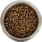 Yourdog dwerg- of toypoedel pup 3 kg - Hondenvoer