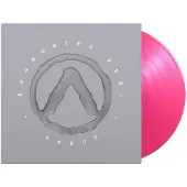 MUSIC ON VINYL GRADUATED FOOL