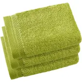 De Witte Lietaer Gastendoek Contessa Lime Green (40 x 60 cm) (set van 3)