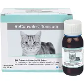 Alfavet ReConvales Tonicum Kat