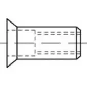 Toolcraft TO-5455194 Popmoer M8 100 stuk(s)