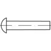 Toolcraft TO-5448510 Halfronde klinknagel 4 mm 500 stuk(s)