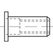 Toolcraft TO-5380464 Popmoer M4 RVS 500 stuk(s)
