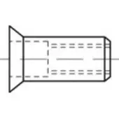 Toolcraft TO-5455200 Popmoer M10 100 stuk(s)