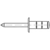 Toolcraft TO-5380554 Popnagel 4.8 mm RVS 500 stuk(s)