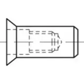 Toolcraft TO-5455284 Popmoer M5 500 stuk(s)