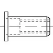Toolcraft TO-5380458 Popmoer M8 RVS 100 stuk(s)
