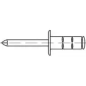 Toolcraft TO-5455215 Open popnagel 4 mm 500 stuk(s)