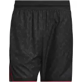 Adidas Sportbroek 'Anthony Edwards Crazy Lite' antraciet / rood / zwart