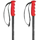 Nordica Freeride Pro Stokken