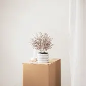 Housevitamin Brons gouden plant in zwarte pot- Kunststof