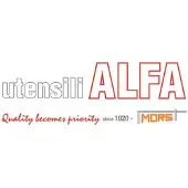 Alfa Tang voor kraanreparatie - 250 mm