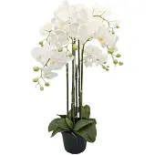 Buitengewoon Boet Orchidee Kunstplant 6-tak 88 cm - Wit