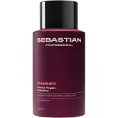 Sebastian Penetraitt Rescue Repair Shampoo 280 ml