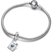 Pandora Armband Charms 792680C01