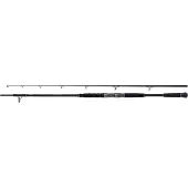 Shimano Fishing Beastmaster Lure Catfish Rod Zilver 2.20 m / 120 g