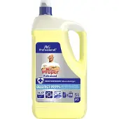 Meister Proper P&G Professional Meister allesreinier