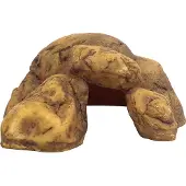 Exo Terra - Terrariumgrot - Reptielen - Reptile Cave Xl - 26x25x10cm - 1st