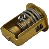 Bukh Dv10/dv10l/20/24 Thermostat Goud