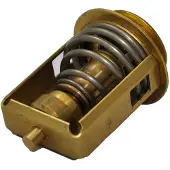 Bukh Dv10/20/24/29/32 75ºc Thermostat Goud