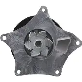 Valeo 529697 Waterpomp