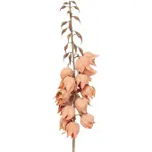 Clayre & Eef Kunstbloem 100 cm Oranje Kunststof